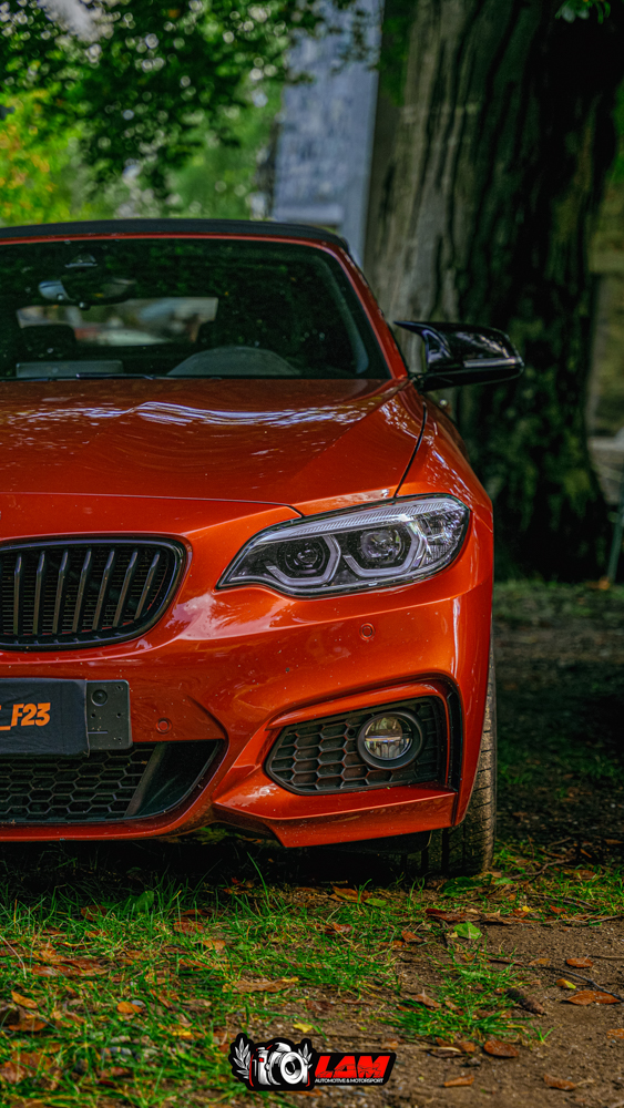 BMW SERIE 2 F23 (CABRIOLET)