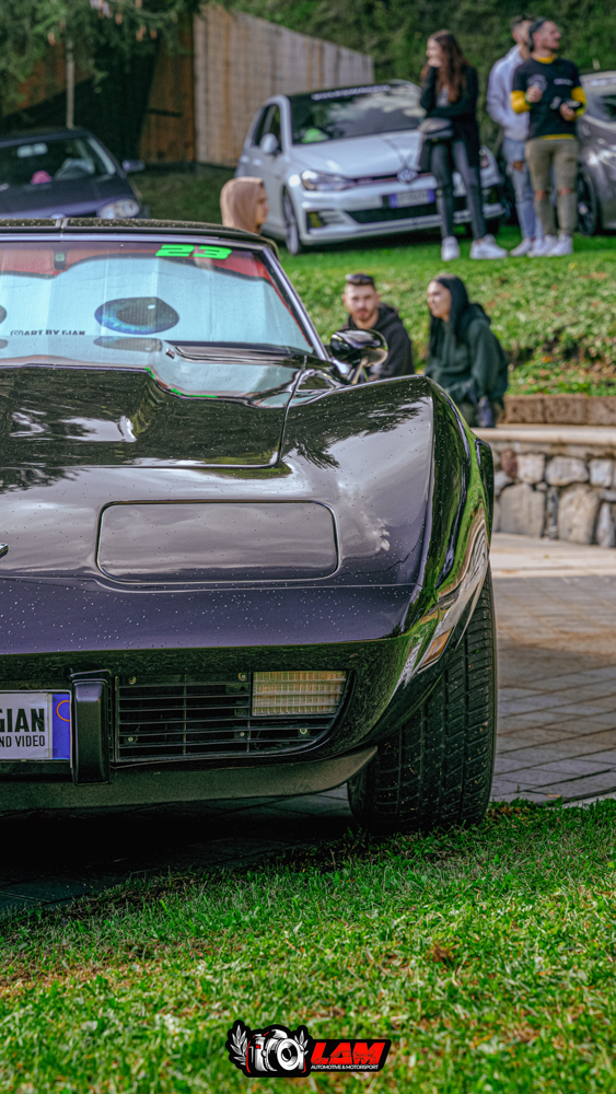 CORVETTE C3 STINGRAY